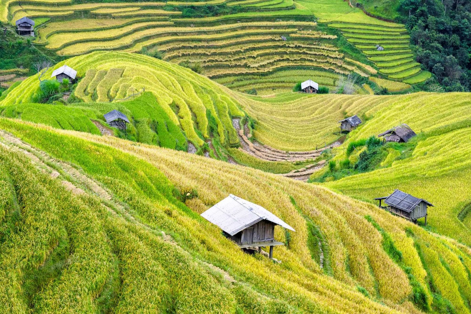 Sapa 3 Day Tour Bac Ha Market, Cycling, Hiking